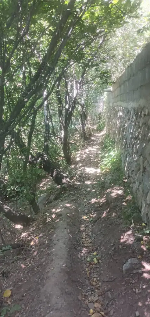 زمین فروشی در لواسان