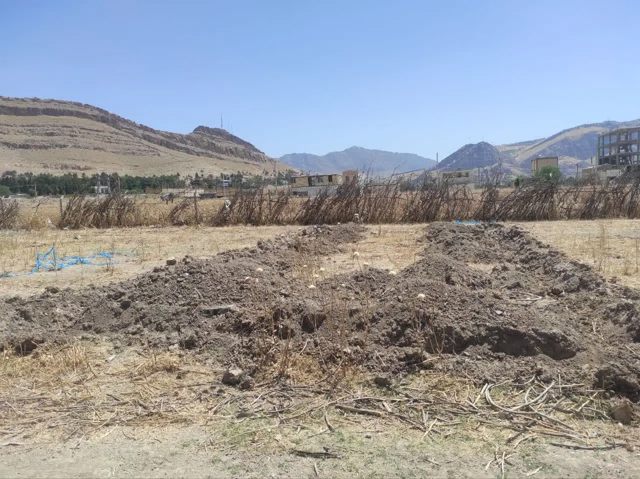 زمین باغ نو