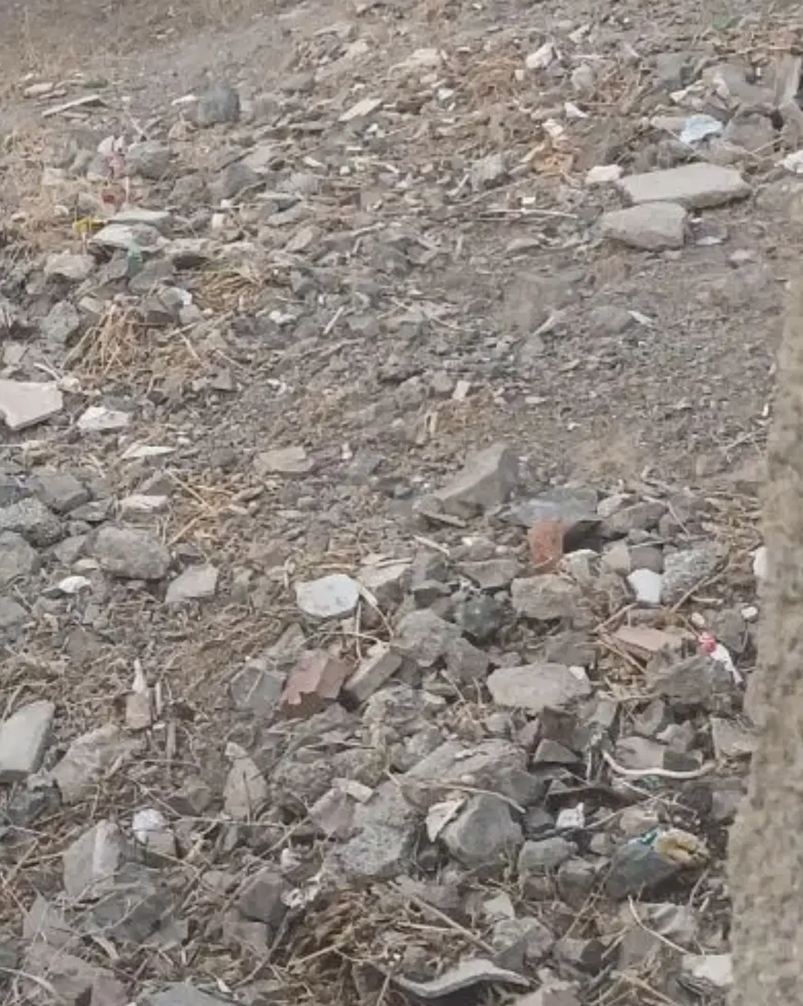 زمین ۶۰ متری ۲ نبش خیابان