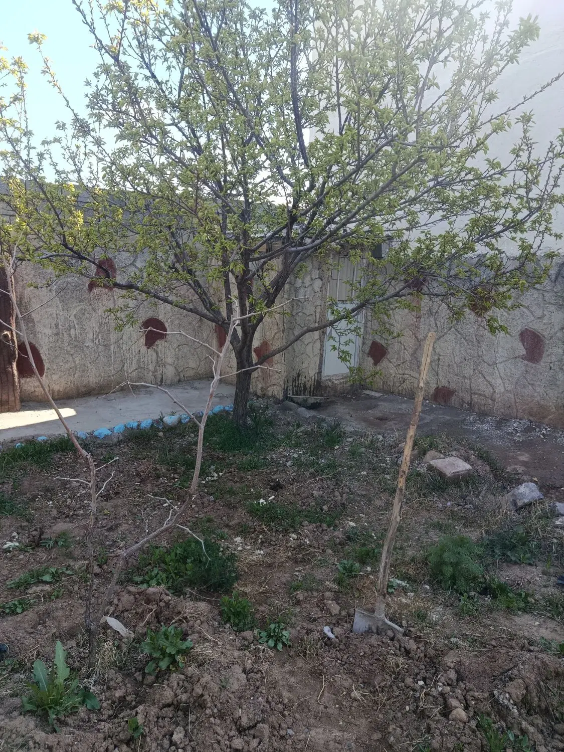 باغ در باغ معروف