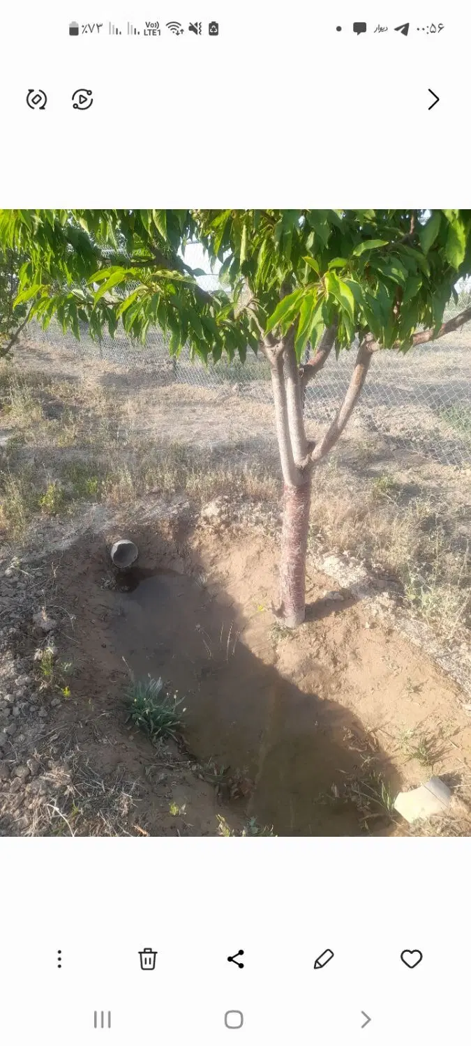 ۳۰۰مترزمین کشاورزی نزدیک طرح هادی در روستای سهرجرد