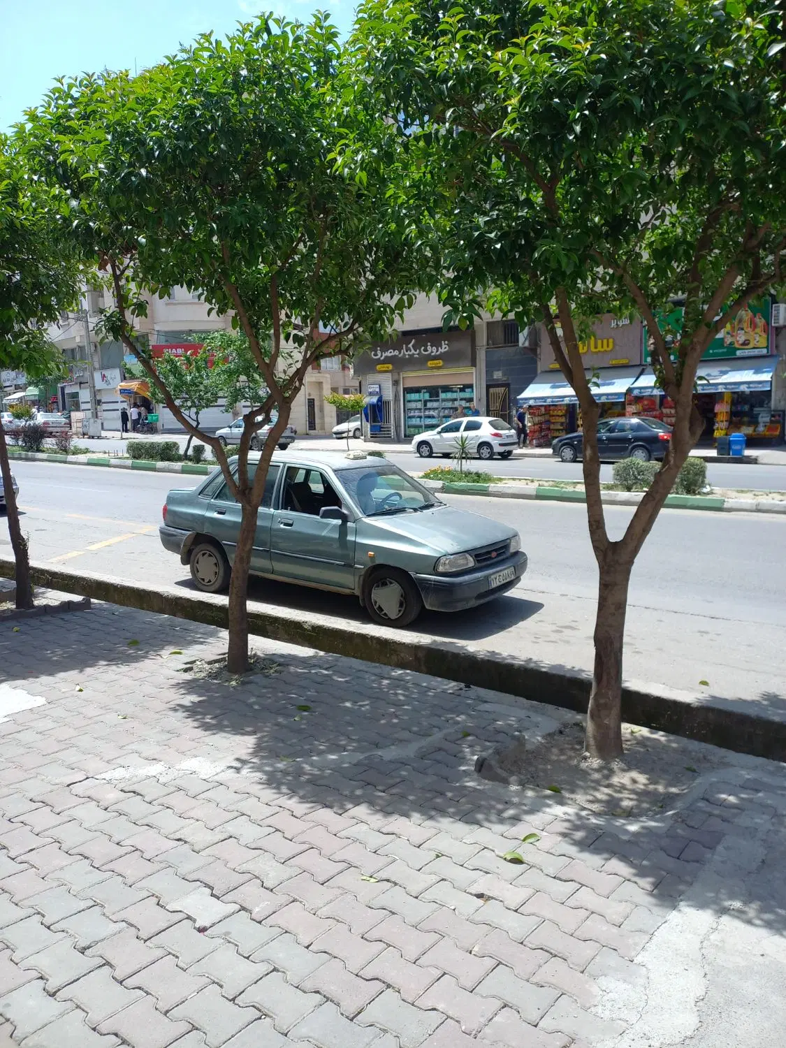 اجاره مغازه صیاد