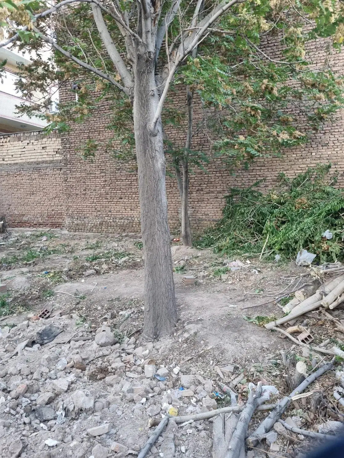 خانه کلنگی واقع در قونقا ۳۵۳ متری