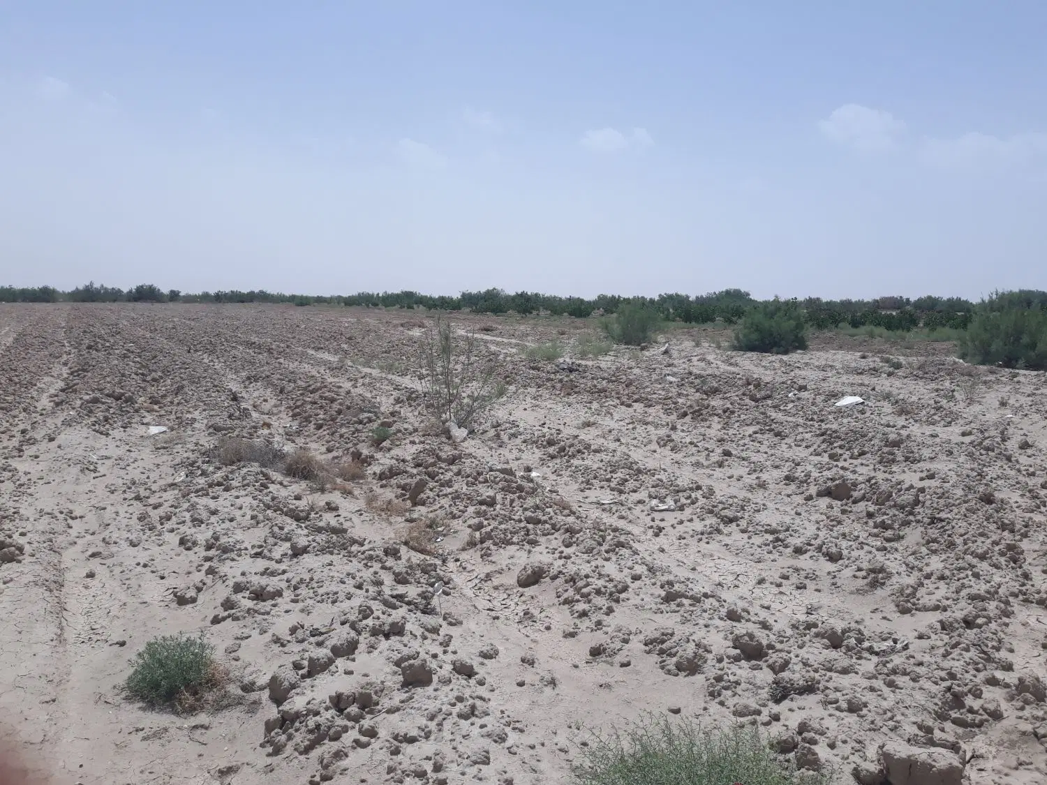 فروش زمین زراعی