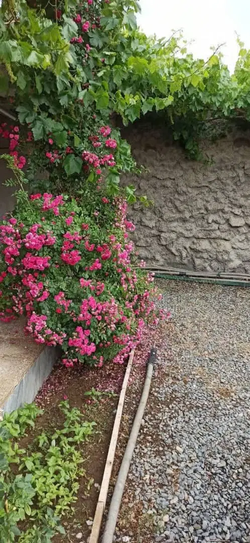 ۵۵متر مستقل لوکس