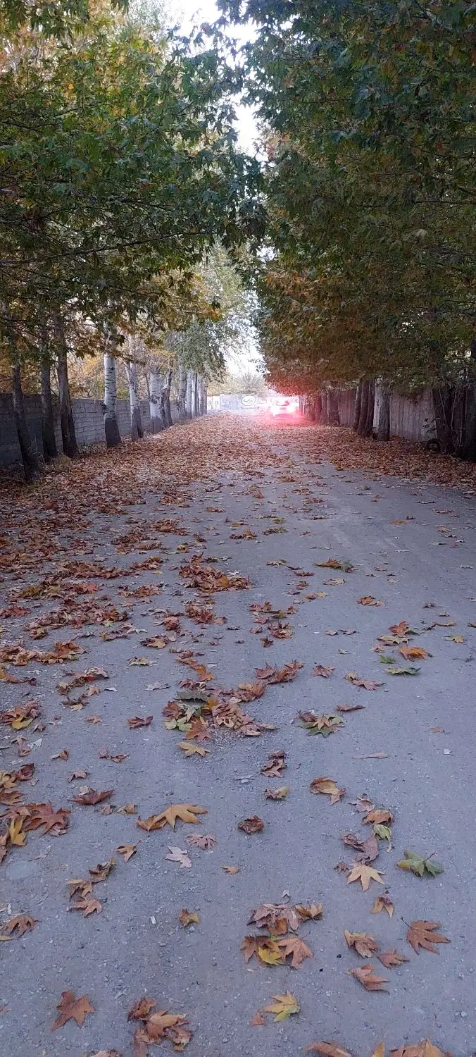 زمین بایر