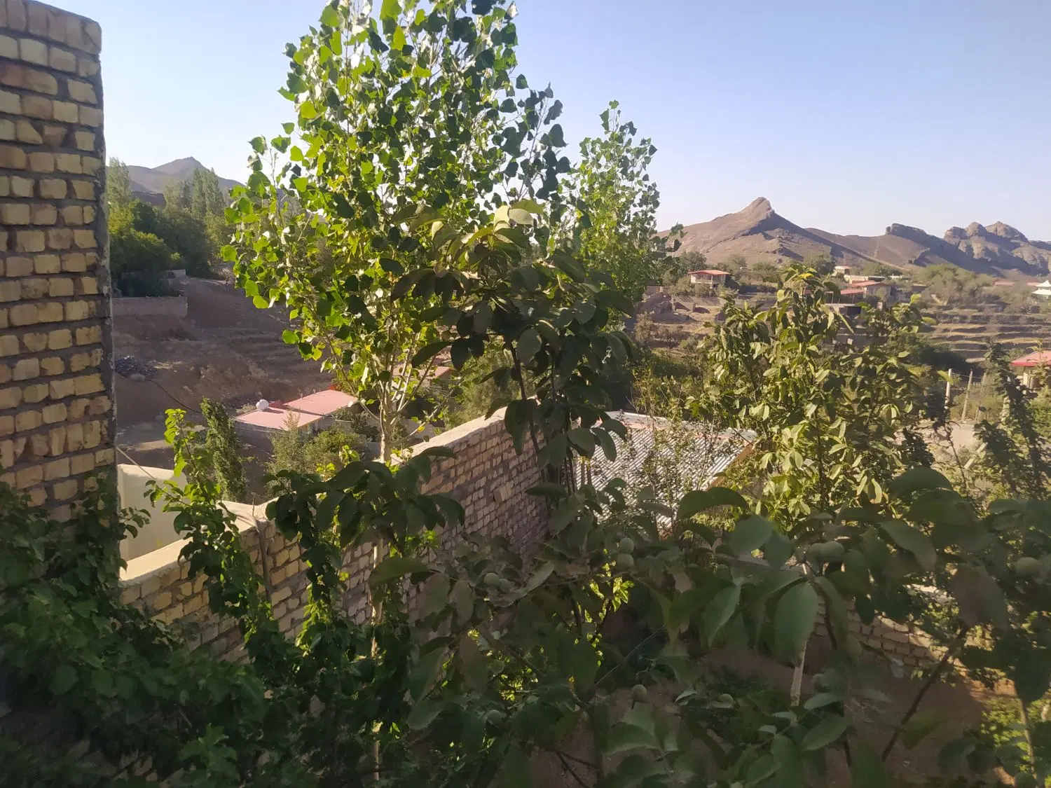 املاک محمدی روستای وشنوه زمین220متری چهار دیواری