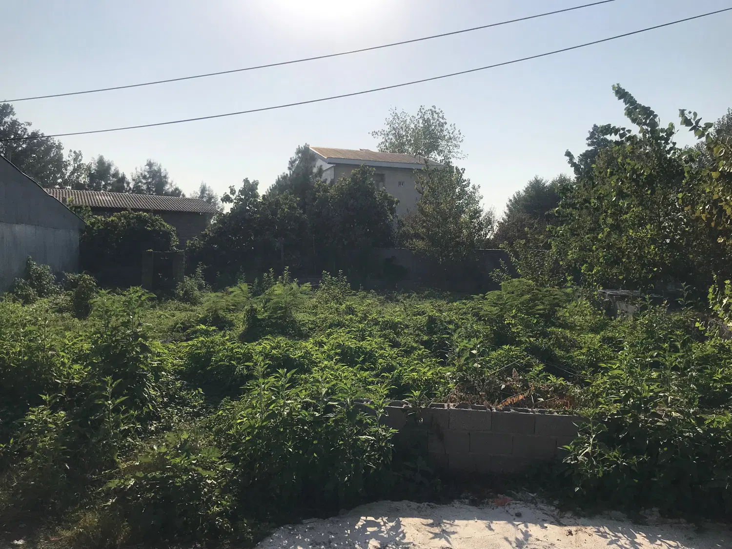 زمین فروشی  رشت