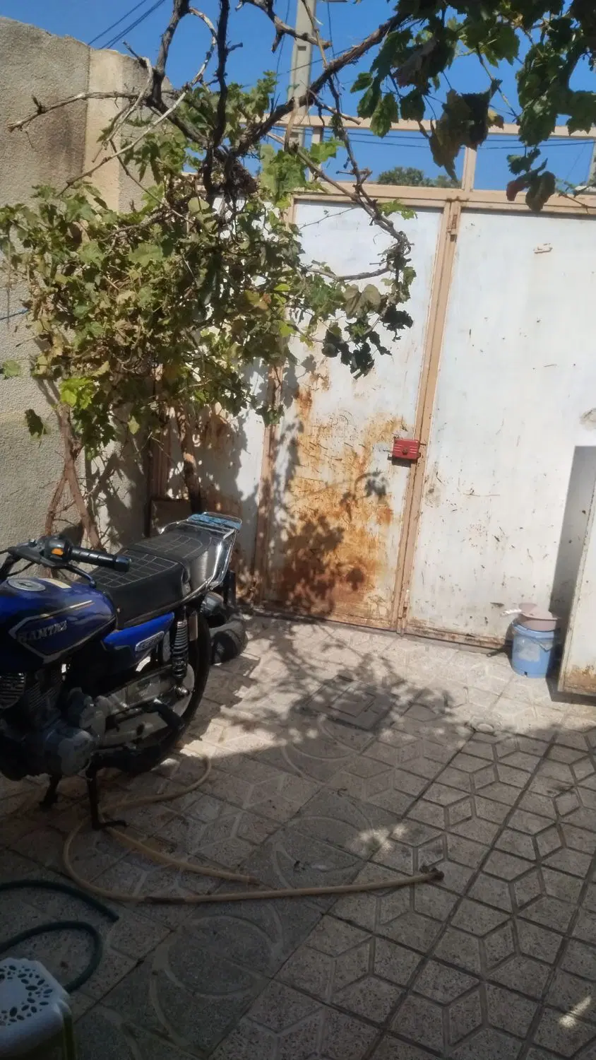 حیاط در کمربندی