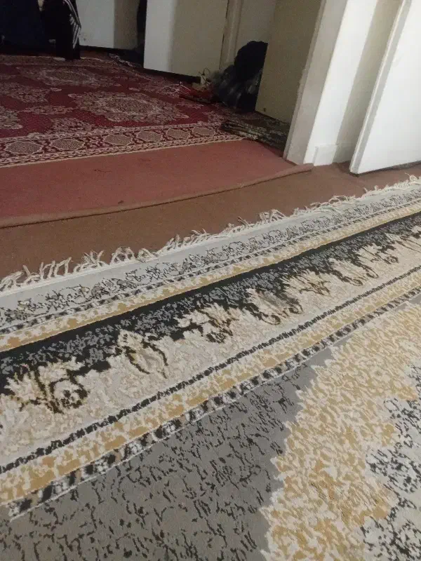 همخونه میشم