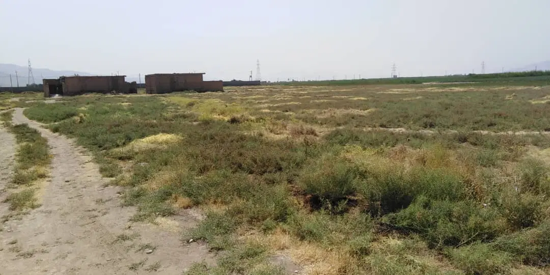 فروش زمین کمربندی پل فسا