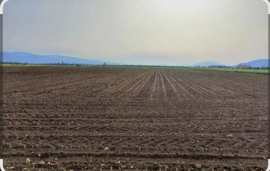 زمین کشاورزی به مساحت ۲هکتار داری حق آبه