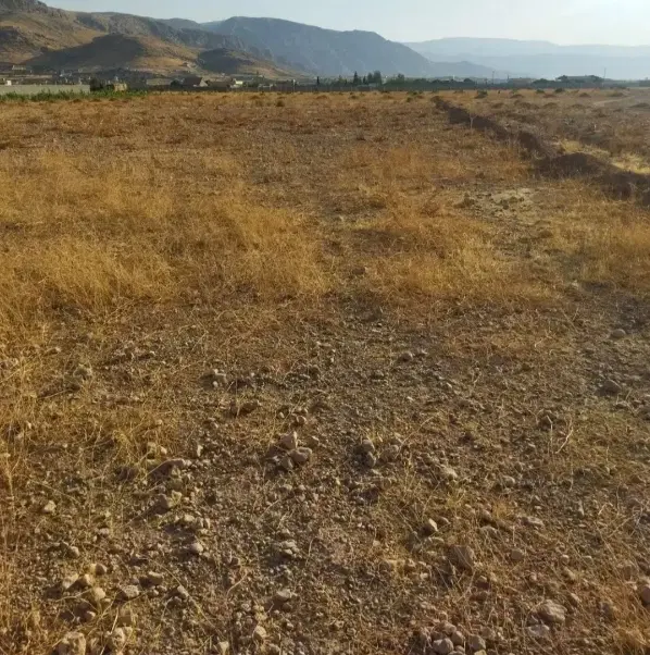 ۳۵۰۰ زمین باغ شهری