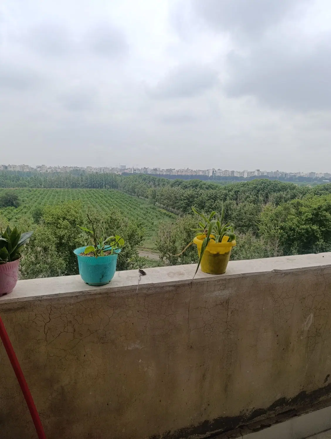 فروش ملک