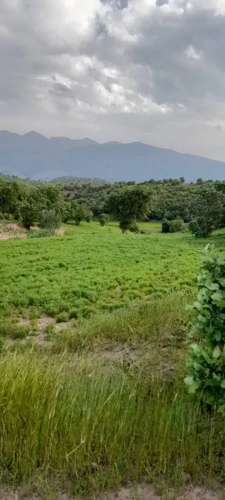 اجاره چاه اب