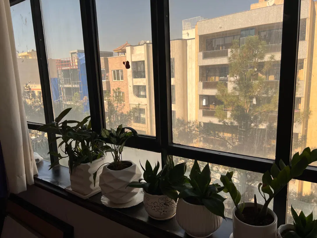 اپارتمان