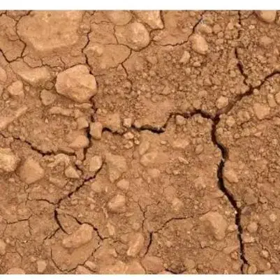 زمین جزیره مینو بر اصلی بازار