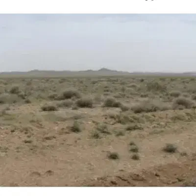 زمین