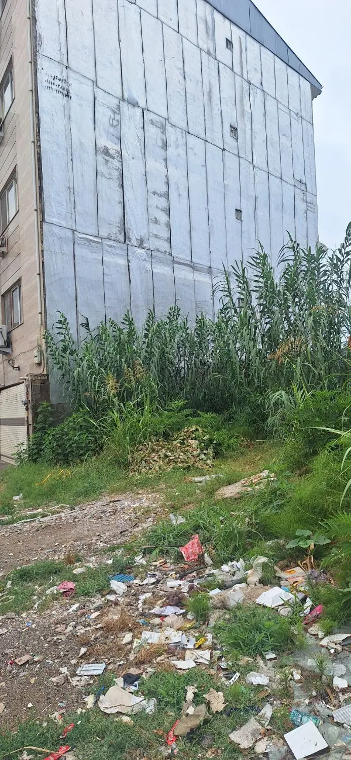 زمین ۷۴متری قلی پور