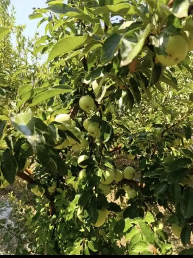 فرصت استثنایی سرمایه‌گذاری