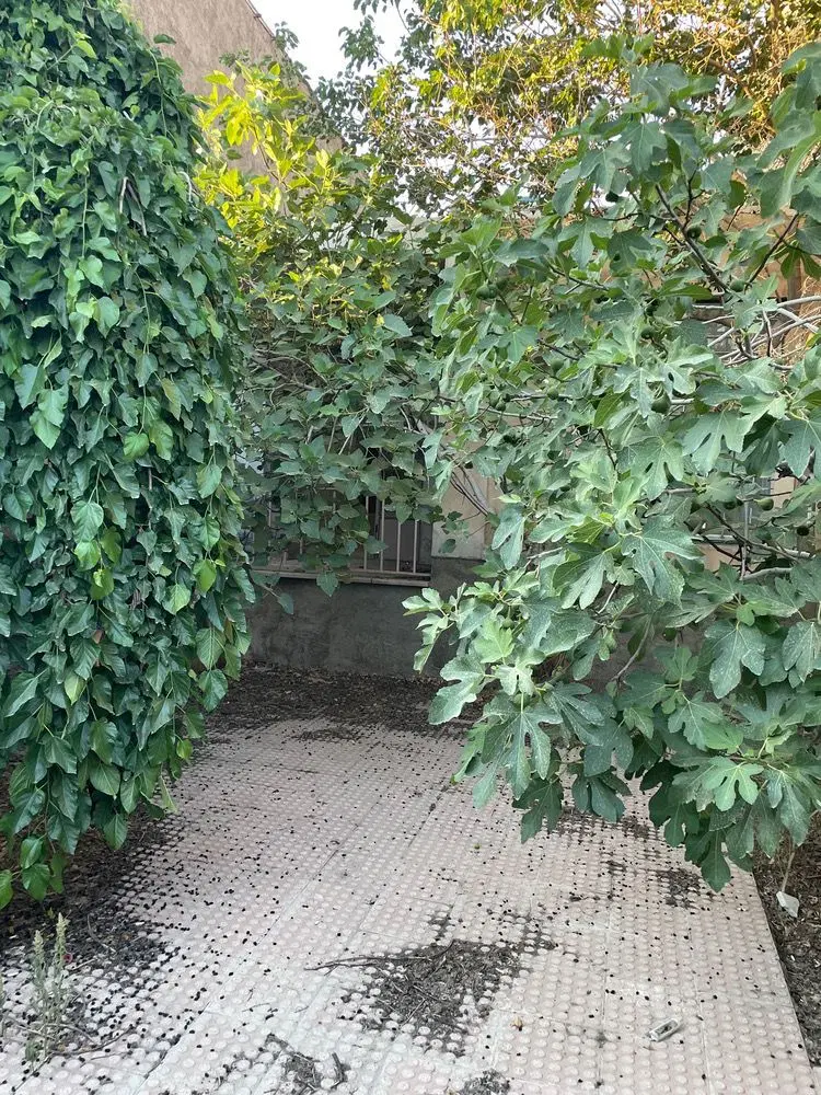 فروش ملک کلنگی مسکونی دربومهن