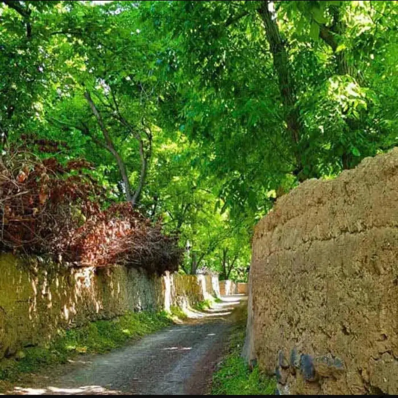 زمین لواسان