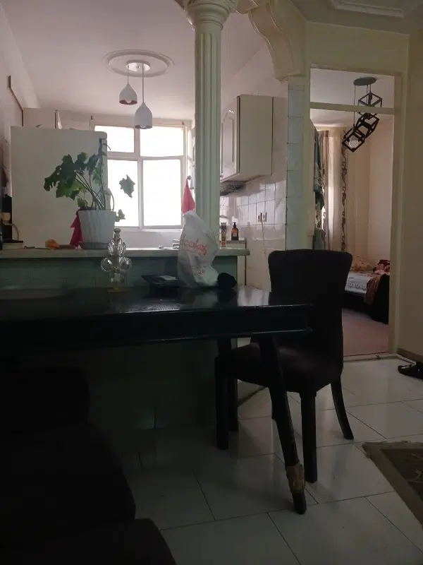 همخانه