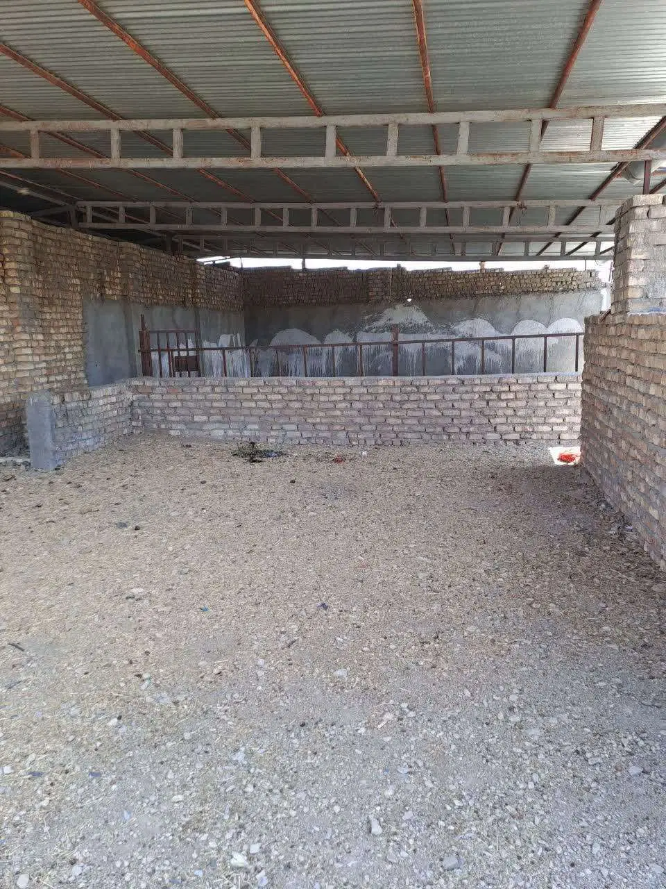 گاوداری دامداری