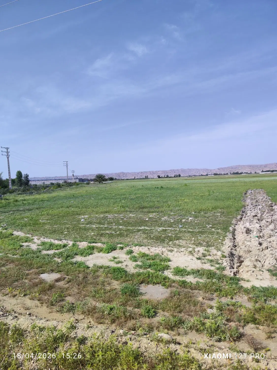 زمین  سر جاده اصلی