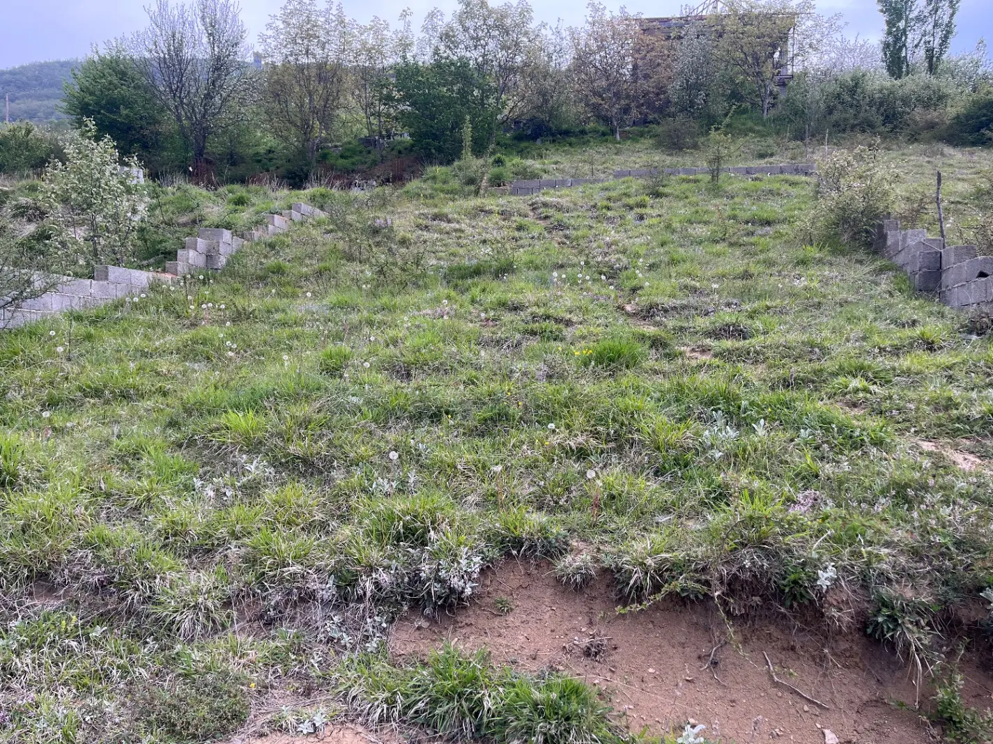 دالیخانی روستای ولنگان 200متر بهرجاده