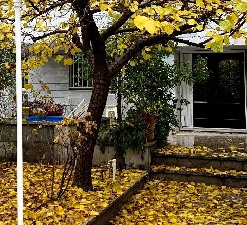 ۷۰ متر ۱ خواب تهرانپارس غربی