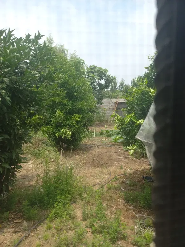 فروش زمین مسکونی