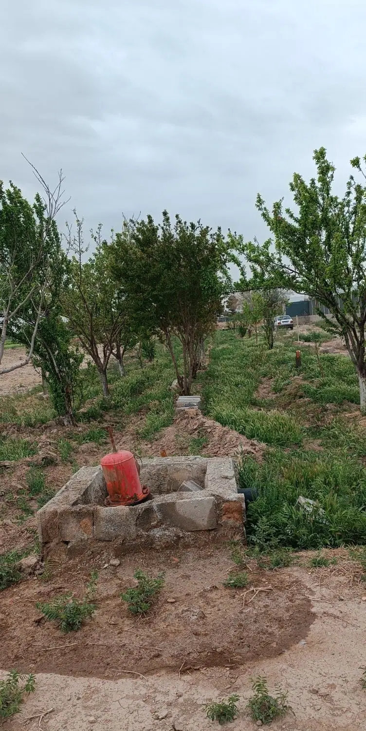 فروش باغ
