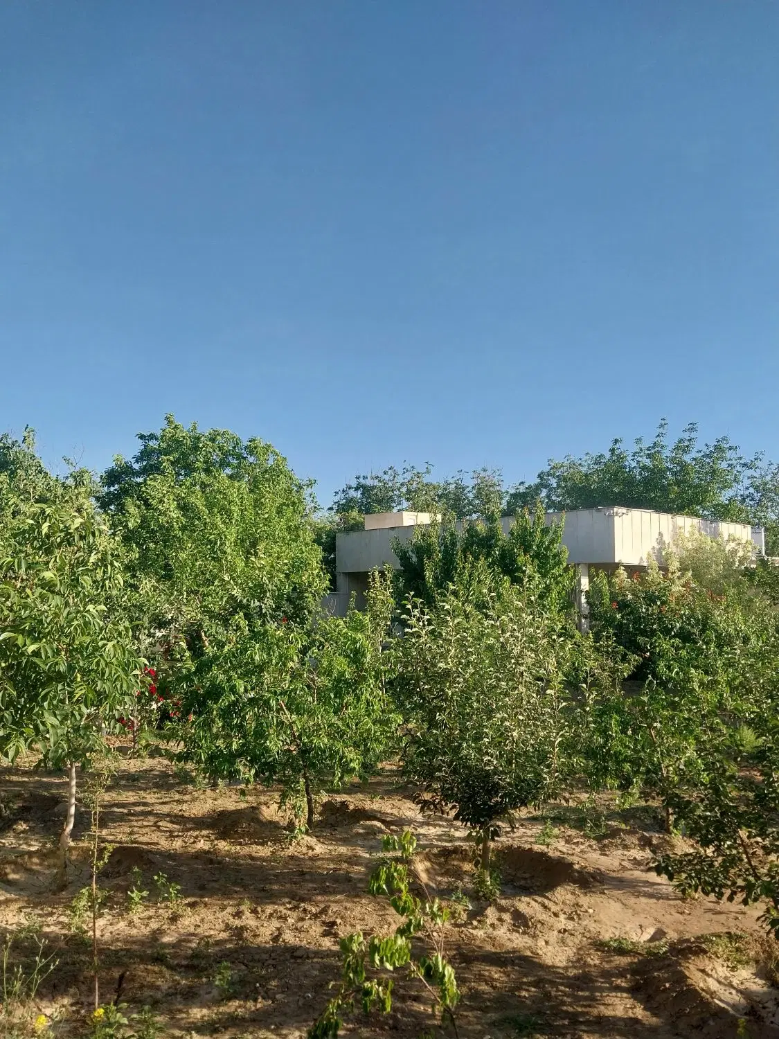 ویلا باغ زیبا سنگستان
