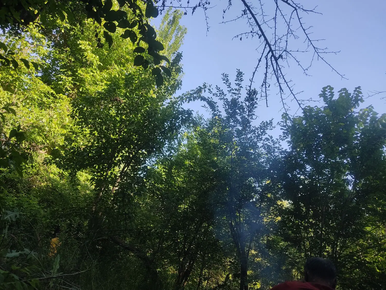 فروش باغ