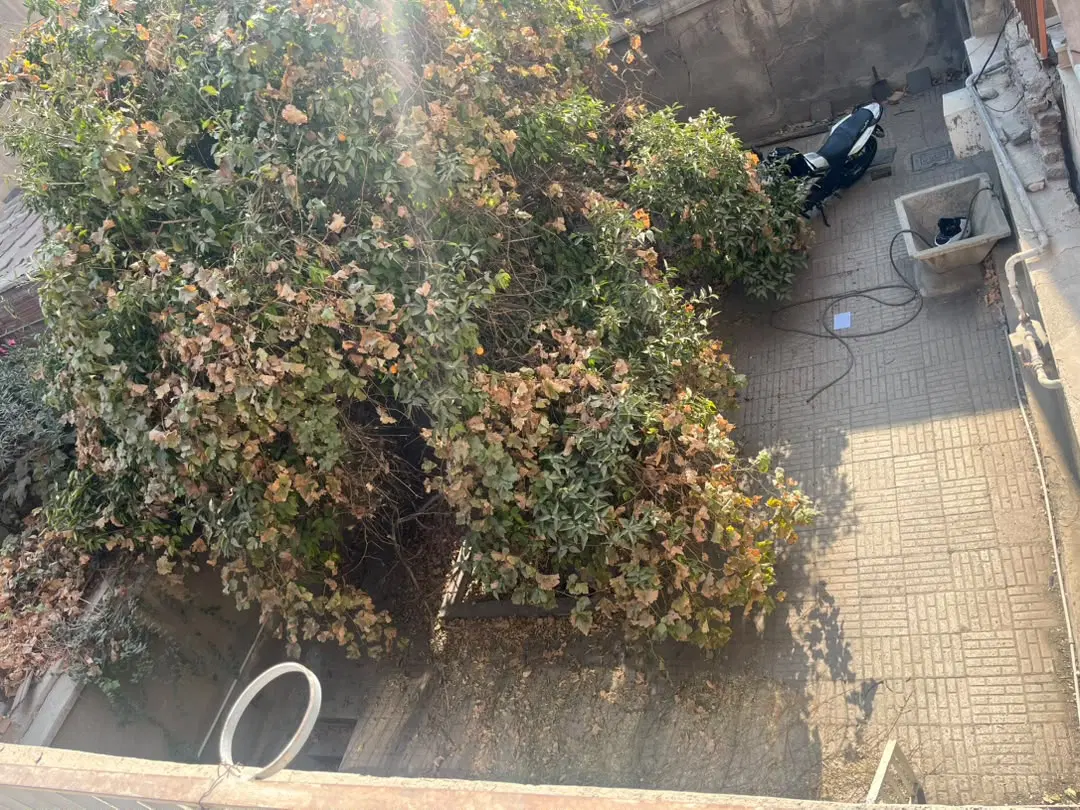 ملک کلنگی ویلایی