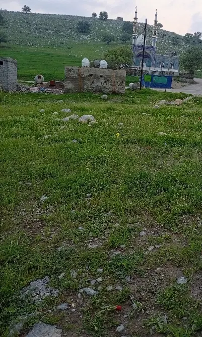 سوییت اجاره ای