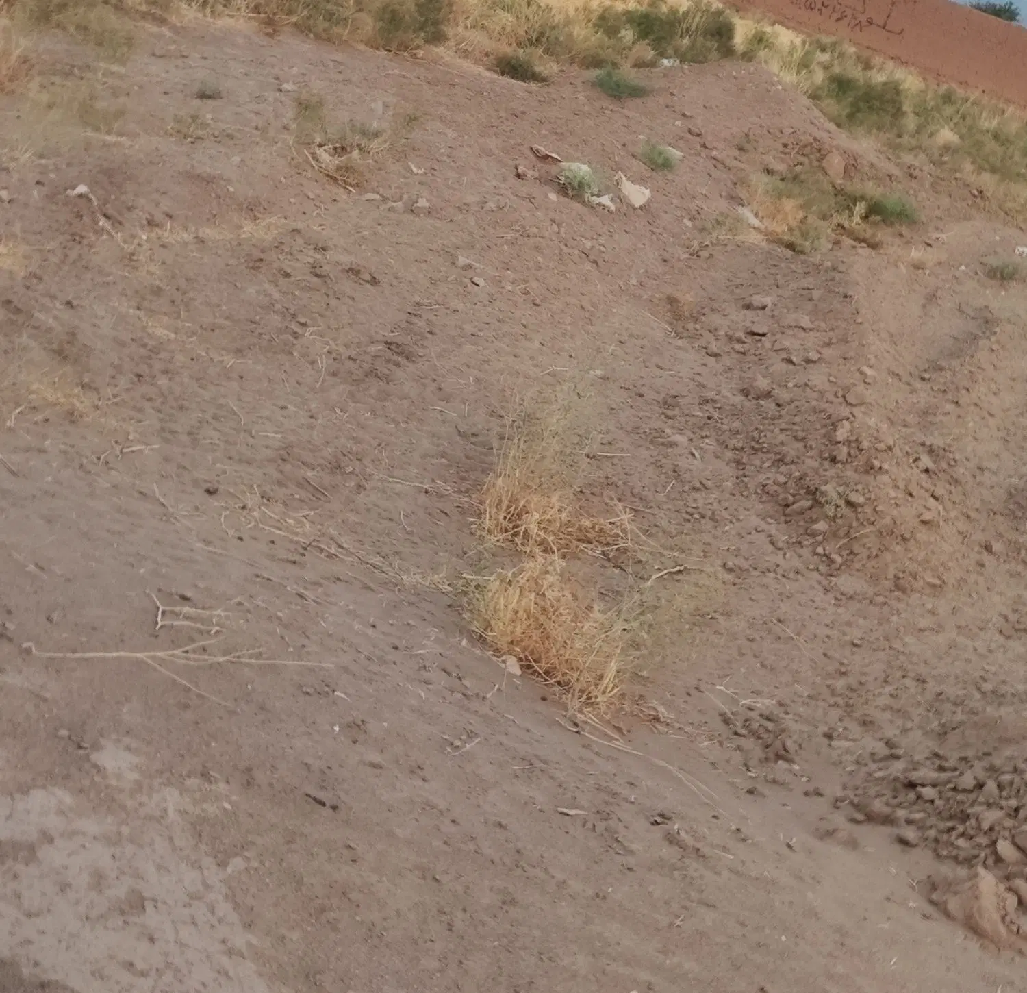 زمین