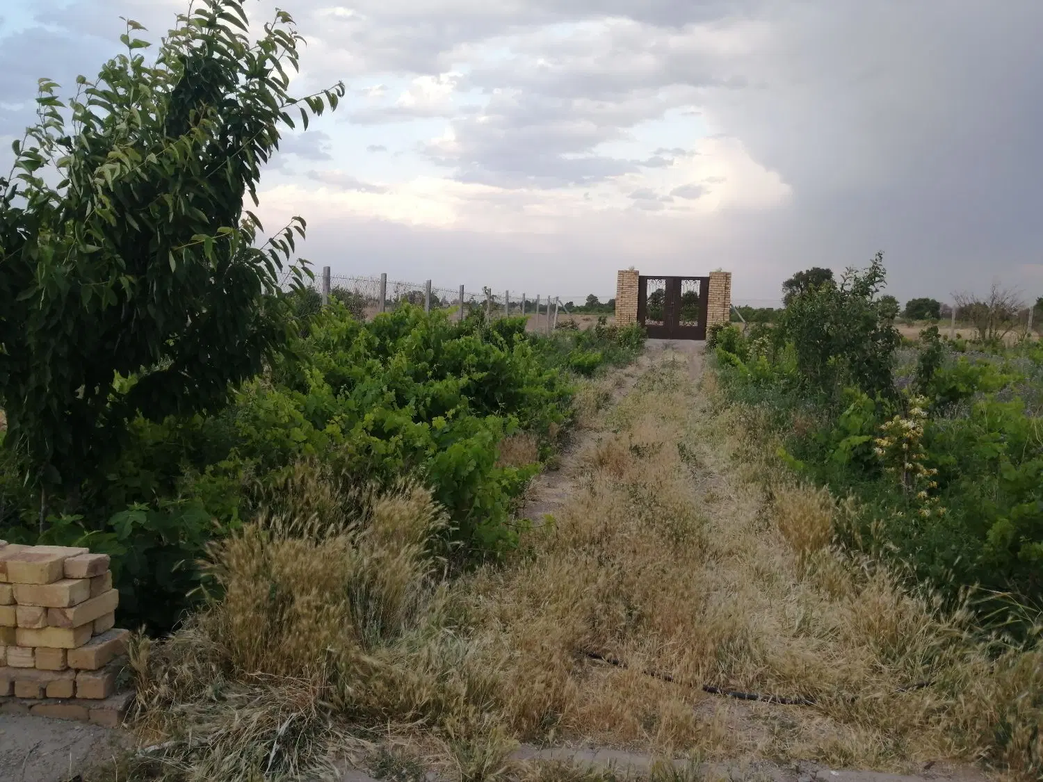 خانه باغ 5000 متری سند6 دانگ 55 متر بنا