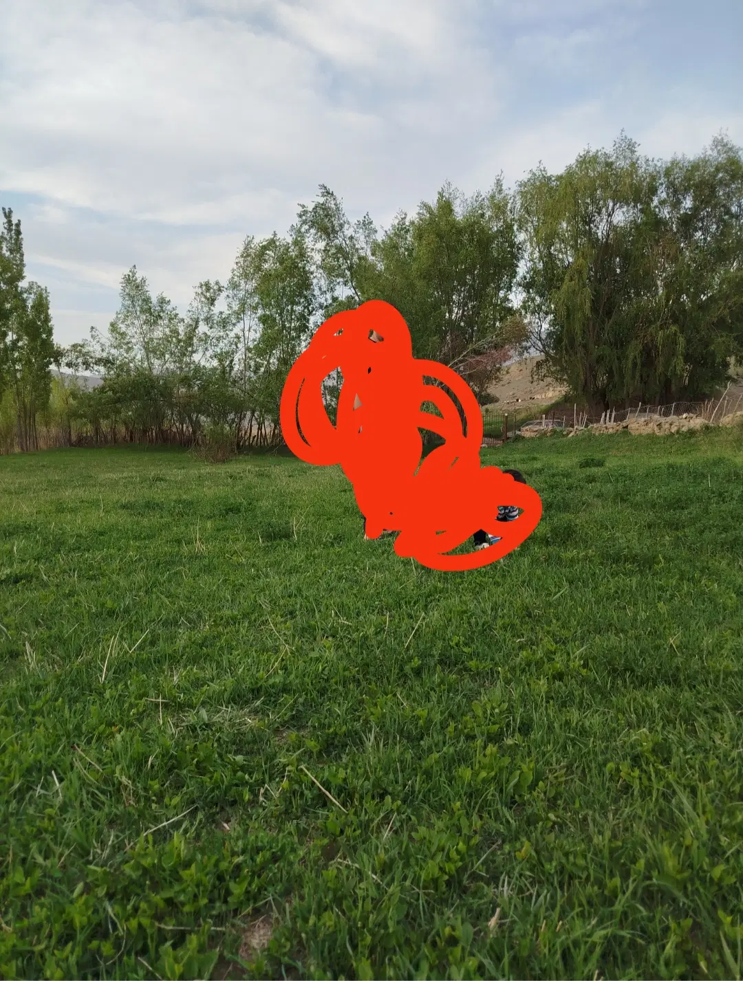 زمین فروشی