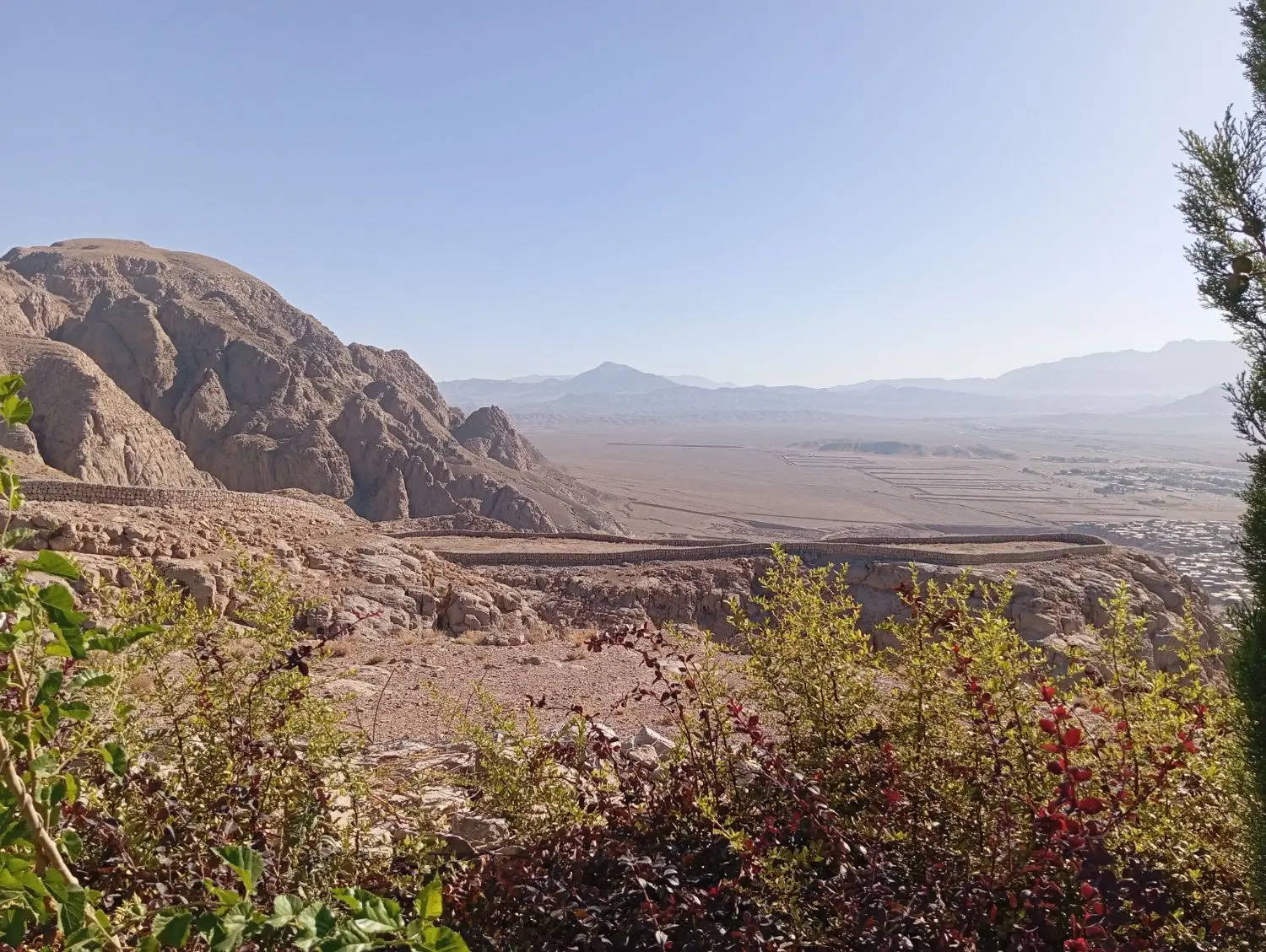 زمین ۱۰ قصبی دهکده گلها
