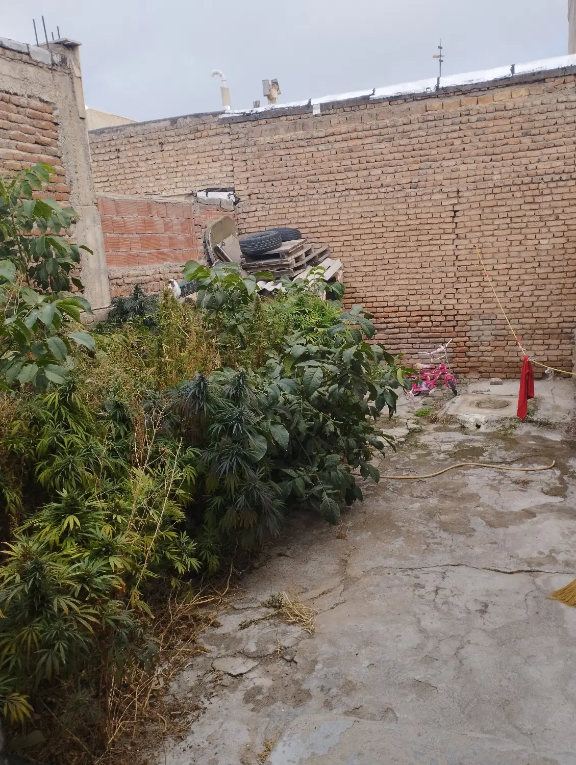 یک باب خانه بفروش میرسد