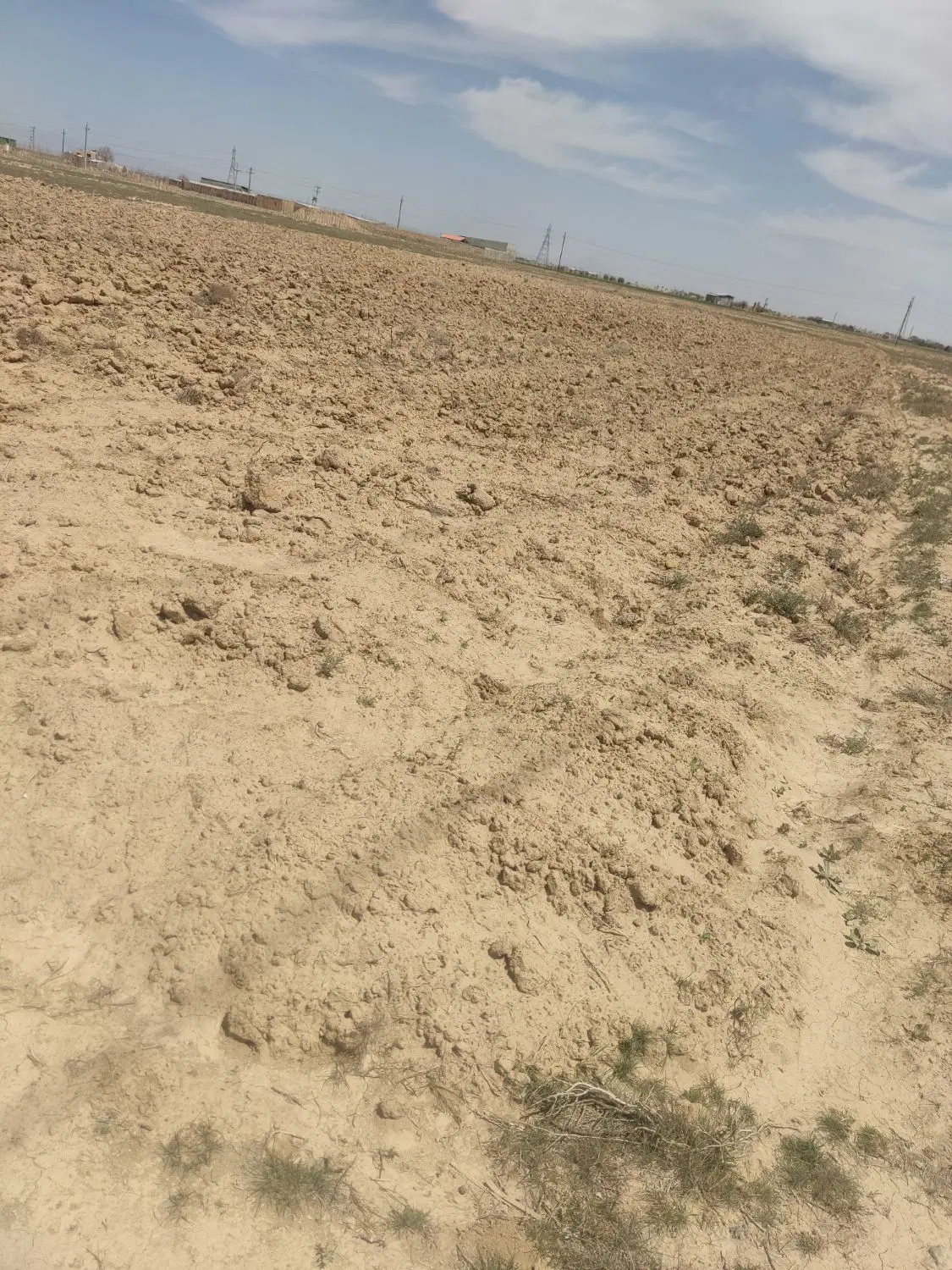 فروش زمین زراعی با سند تک برگ