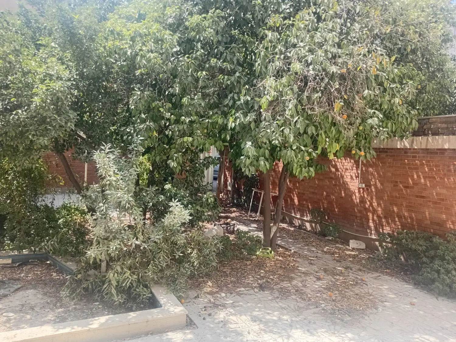 ویلایی کلنگی_درب از حیاط