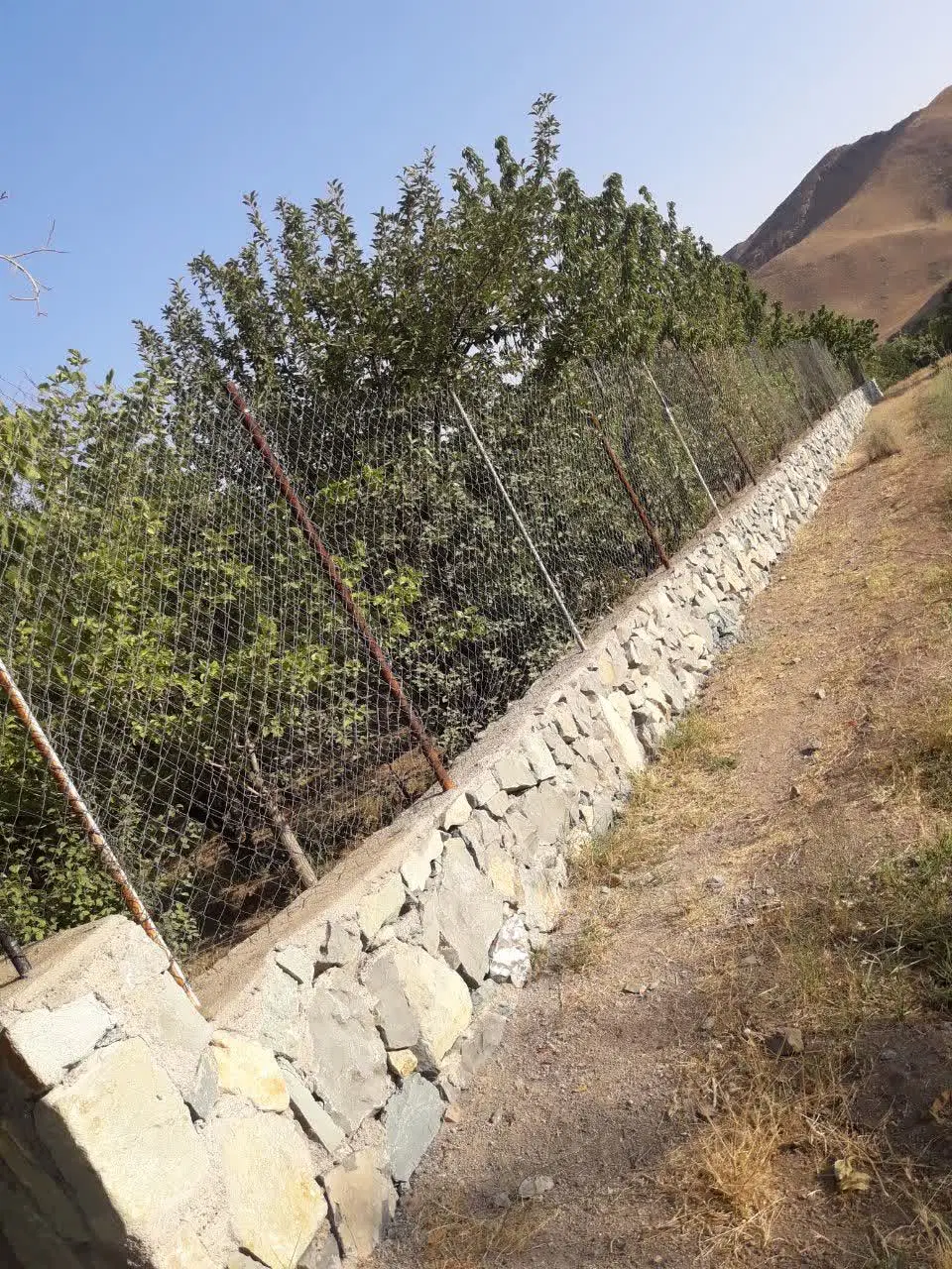 باغ لب جاده بین روستای رستگان و فوجرد