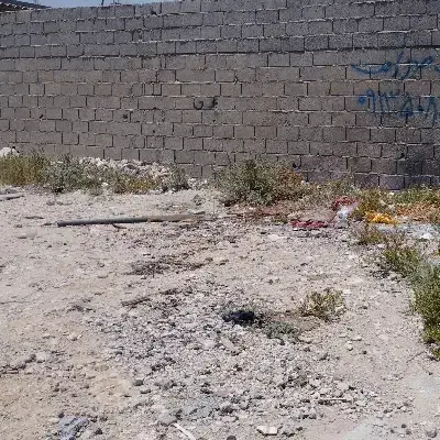 فروش دوقطعه زمین در نخل تقی بوشهر