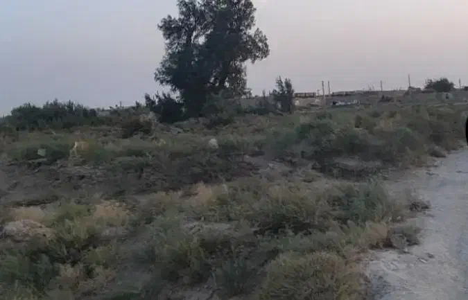 زمین چهار هزار مترسنددار روستای طاغذی(زندان زابل)
