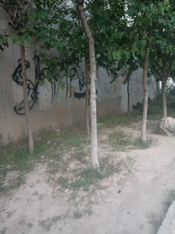 زمین ۳۶۰ متر_مدارک کامل_گازار