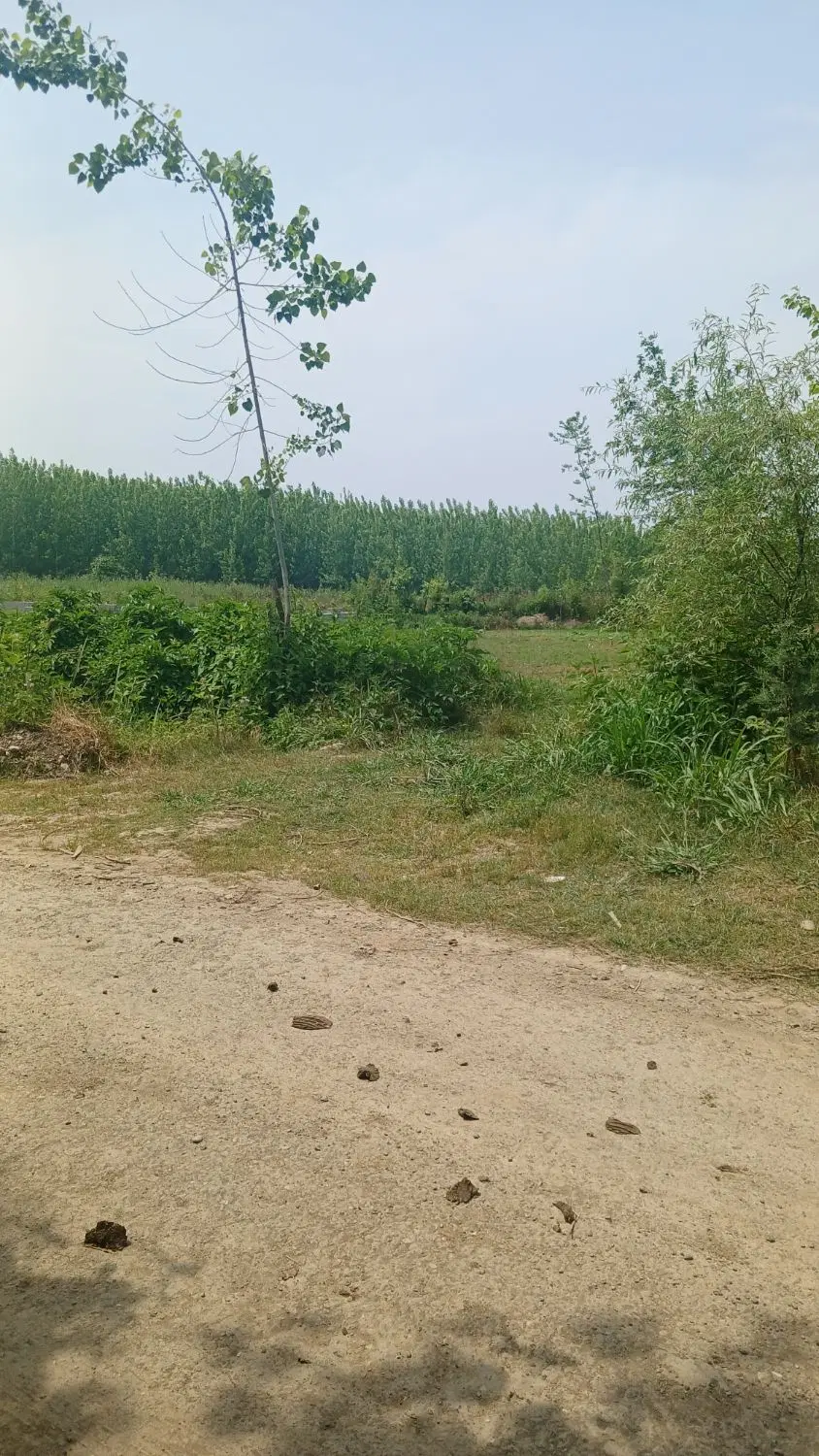 ۶۲۱متر زمین داخل طرح