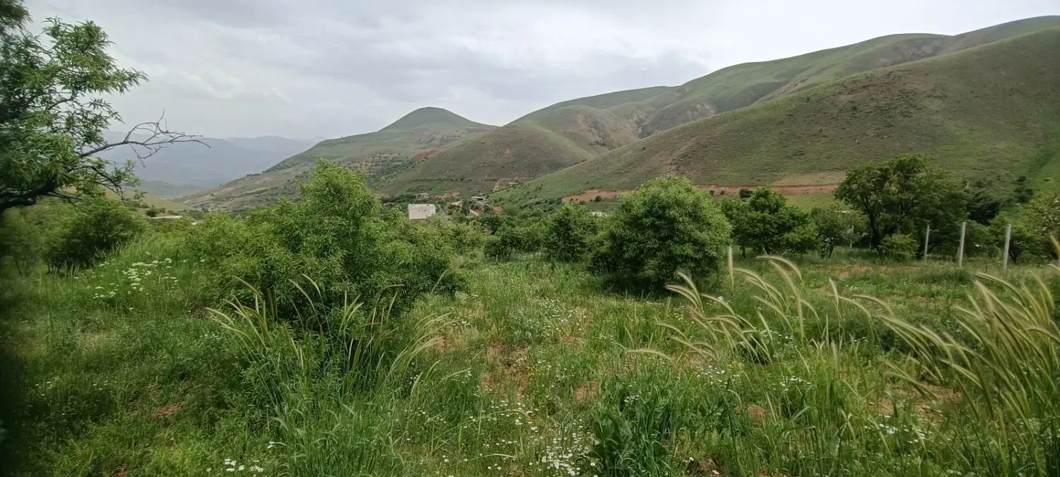 زمین کشاورزی حسن آباد دروزان